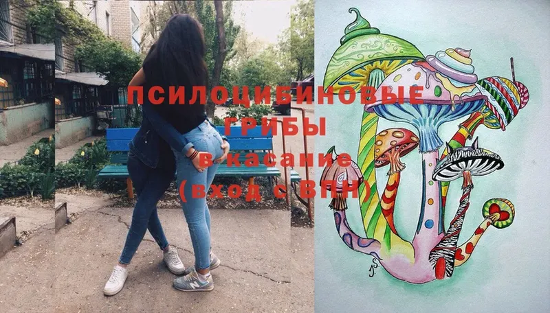 купить   Венёв  Галлюциногенные грибы ЛСД 